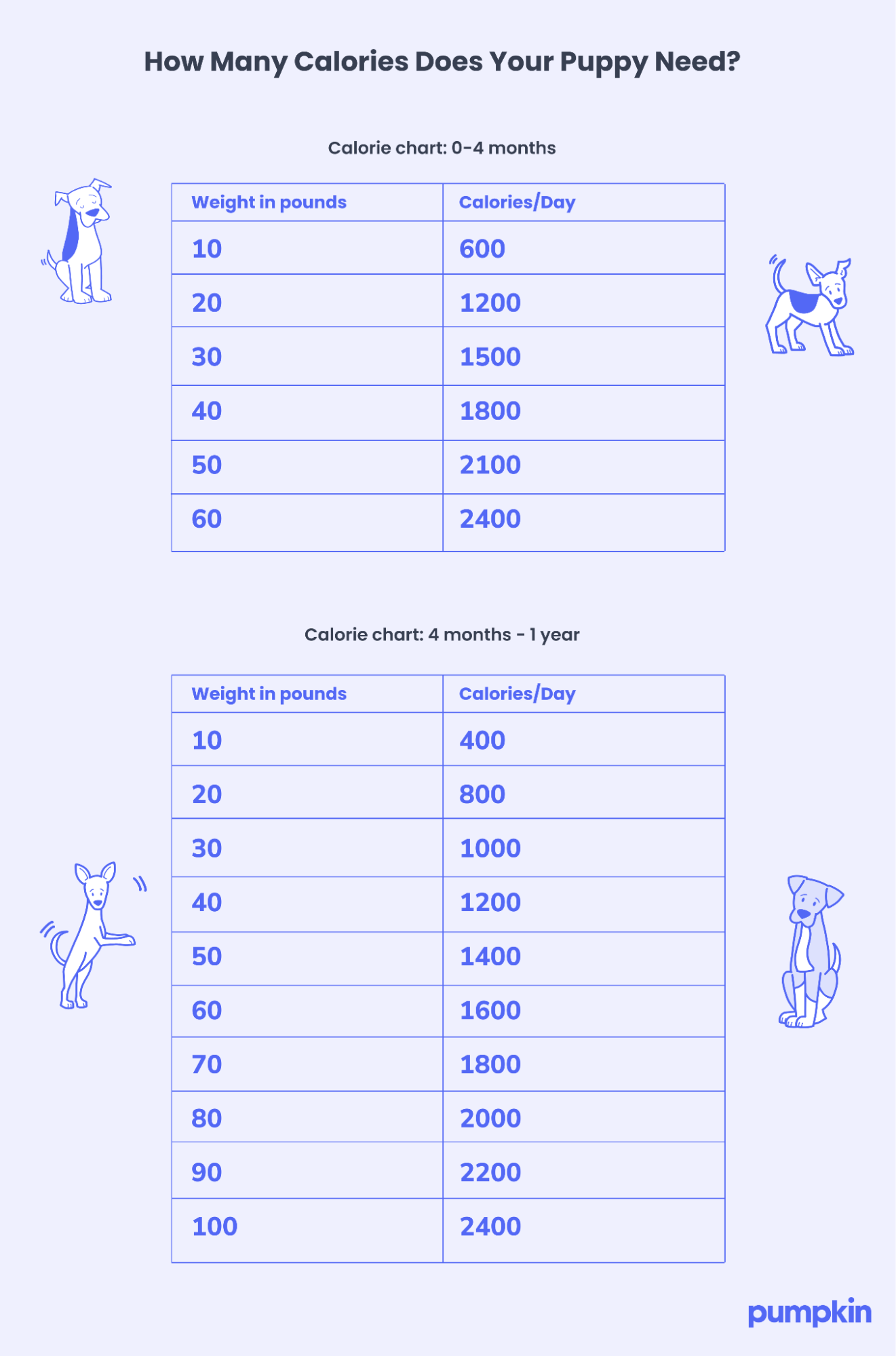 infographic with table showing how many calories puppies need each day