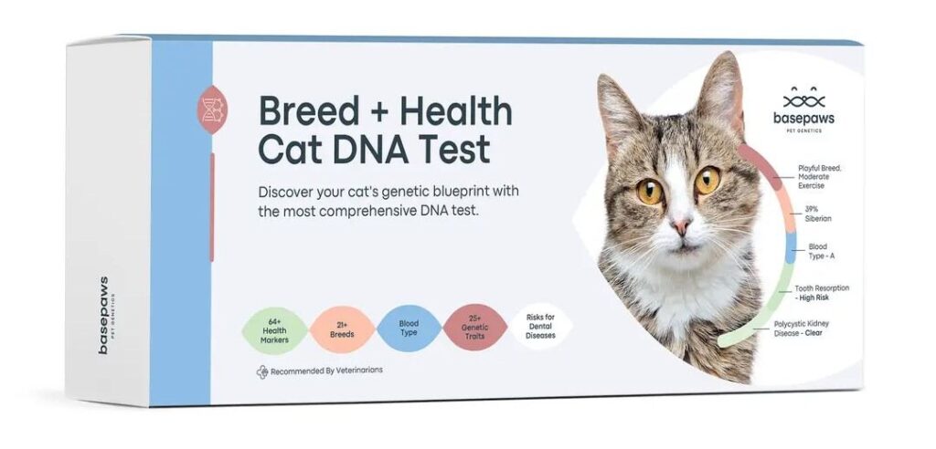 Basepaws breed + health cat DNA test