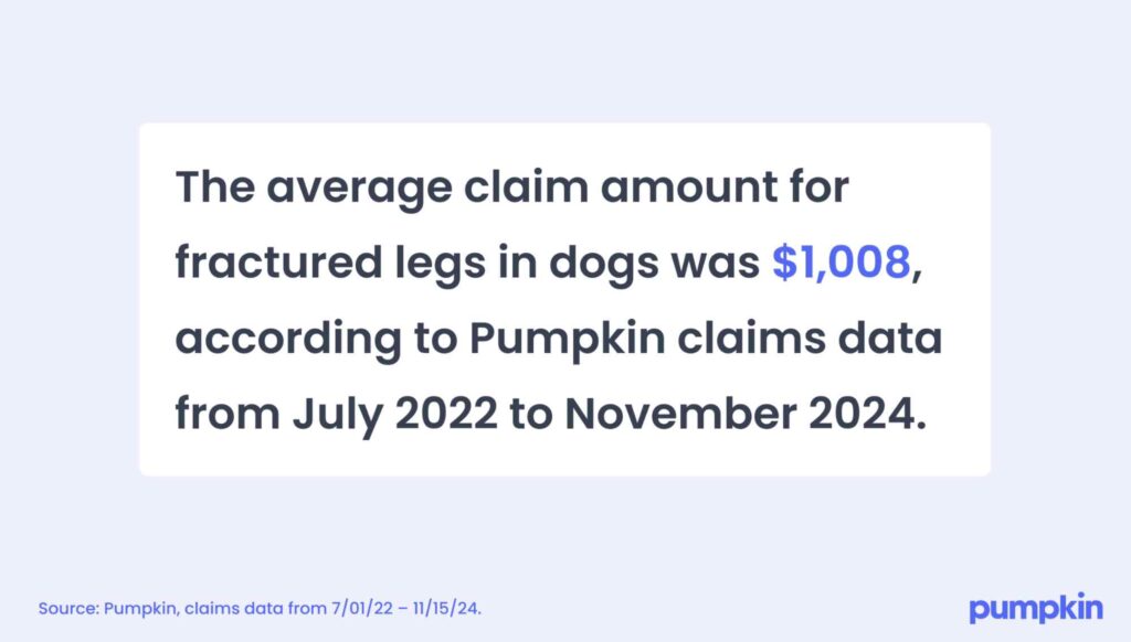 infographic with text that reads 'The average claim amount for fractured legs in dogs was $1,008, according to Pumpkin claims data from July 2022 to November 2024.'